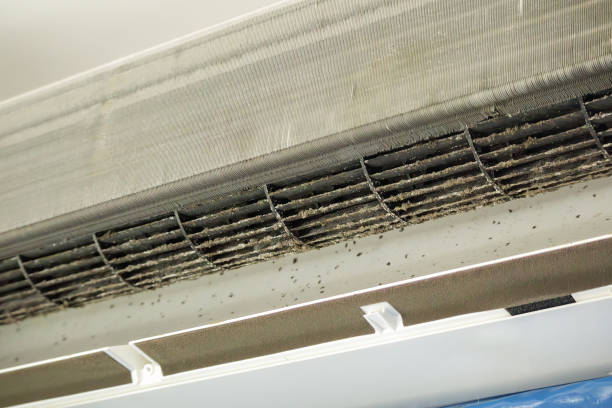 Best Affordable HVAC Duct Cleaning  in Casa Blanca, AZ